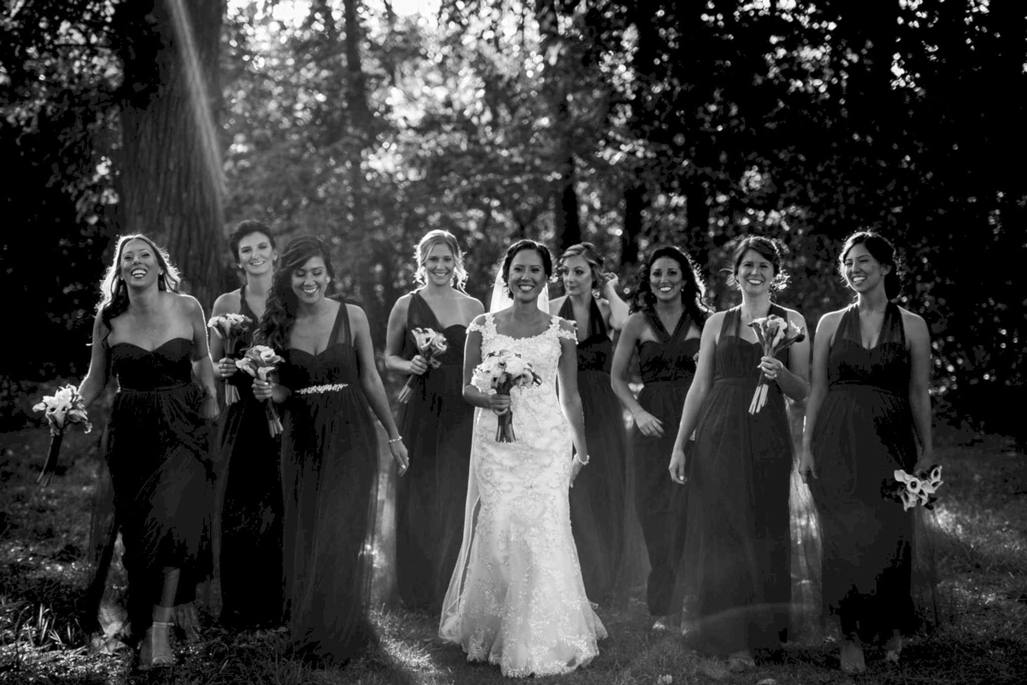 Chicago Wedding Photographer